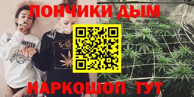 эйфоретик Кингисепп