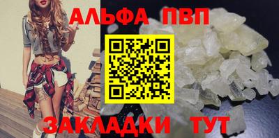 эйфоретик Кингисепп