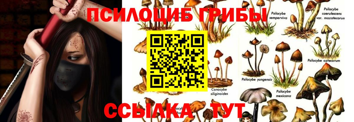 Галлюциногенные грибы Cubensis  Галлюциногенные грибы мухоморы  Арзамас  Вход с VPN 